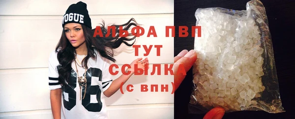 сатива Бородино
