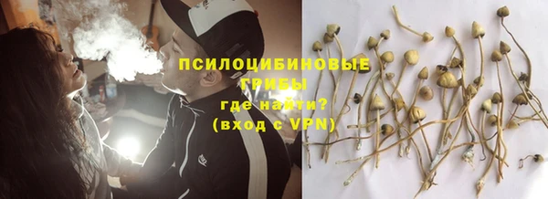 дурь Богданович