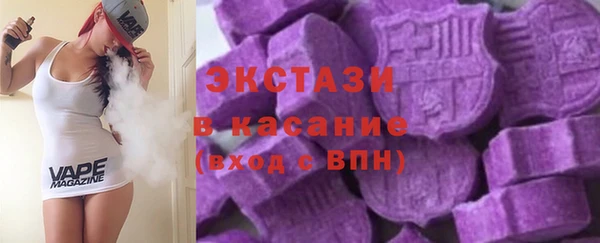 сатива Бородино