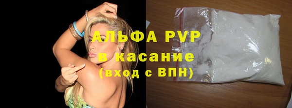 СК Бронницы