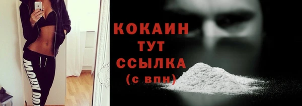 сатива Бородино