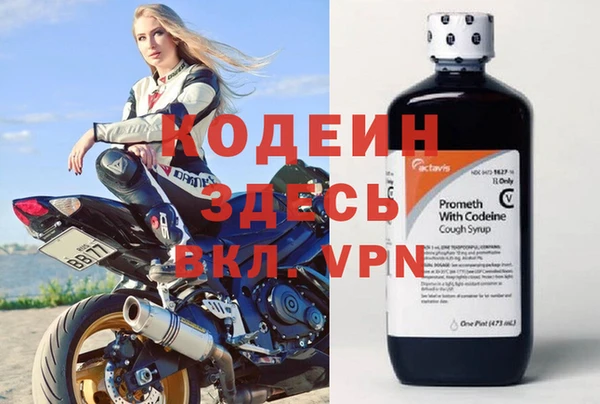 сатива Бородино
