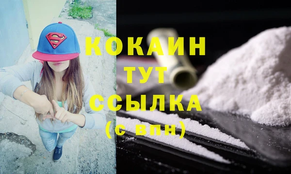 сатива Бородино