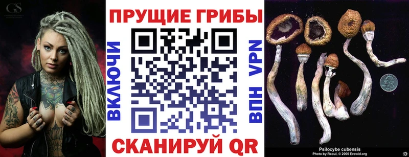 Купить закладки  Новая Ляля  Псилоцибиновые грибы мухоморы 
